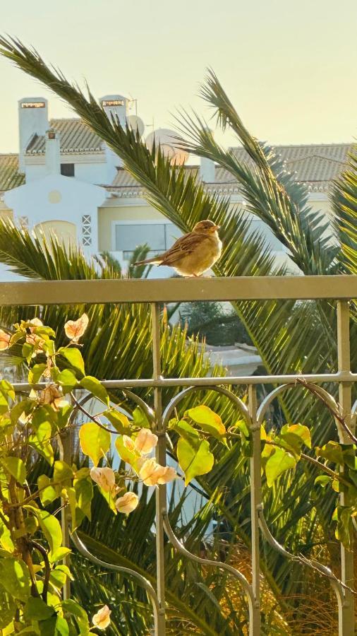 Amazing 2 Bedroom Apartment Near Beach With Pool Lagos Eksteriør billede